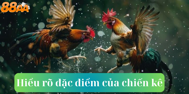 Hiểu rõ đặc điểm của chiến kê