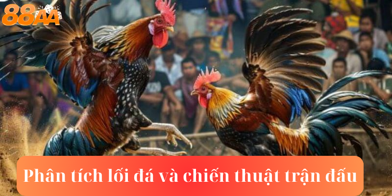 Phân tích lối đá và chiến thuật trận đấu